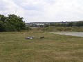 PICT0831.JPG